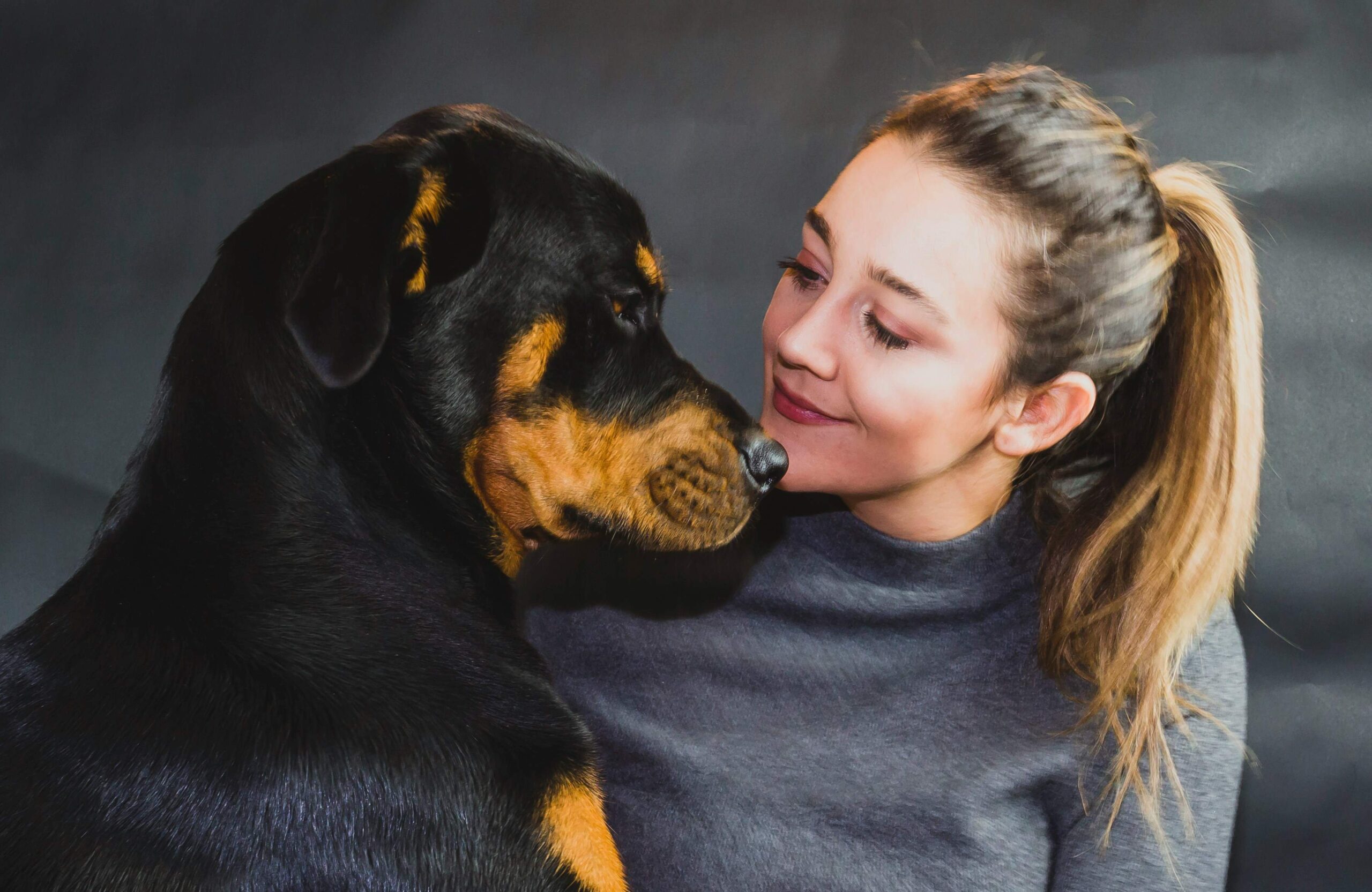 A Day in the Life of a Rottweiler Owner